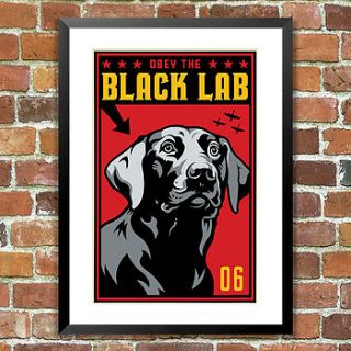 black lab, obey dog print, for pet lovers by the animal gallery