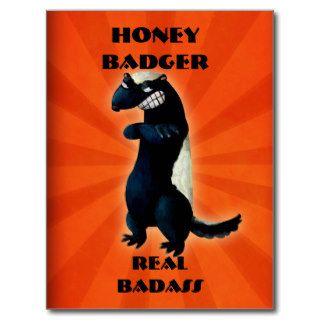 Honey Badger don't care Postcard