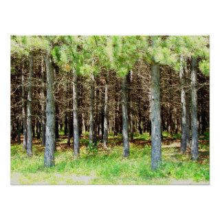 Pine Forest Print