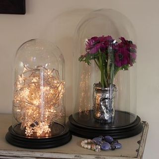 glass bell jar dome with wooden base by lisa angel homeware and gifts