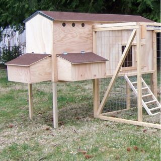 Extended Family Hen House Starter Kit with Nightguard Solar Device