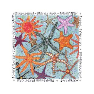 starfish limited edition fine art print by fiona willis artwork