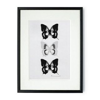 butterflies framed & signed print by rawxclusive