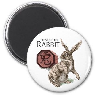 Year of the Rabbit Chinese Zodiac Astrology Refrigerator Magnet