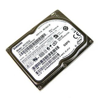 Samsung Spinpoint N1C 120 GB Internal 5400 RPM (HS122JC) PATA ZIF Hard Drive Computers & Accessories
