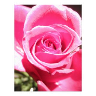 Pink Rose Bud Flower Floral Photo Letterhead Template