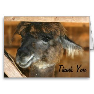 Cute Llama Face Farm Animal Thank You Card