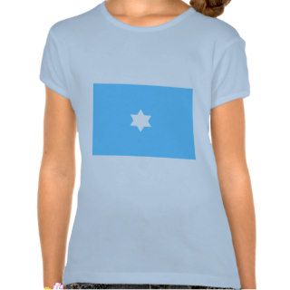 Air Commodore star plate, Pakistan Tee Shirts