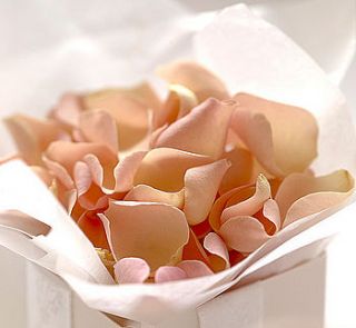 ten rose petal favours by forever & ever
