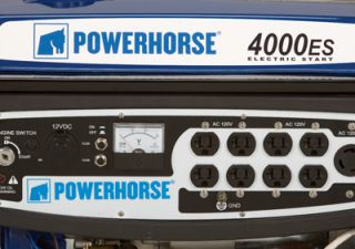 Powerhorse Portable Generator with Electric Start — 4000 Surge Watts, 3100 Rated Watts, Model# DFD4000  Portable Generators