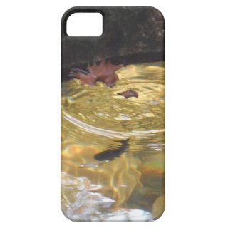 Underwater Trout feeding in Smoky Mountain creek iPhone 5 Covers