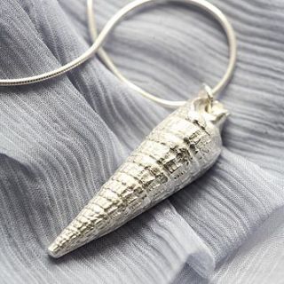 auger shell pendant by claire mistry