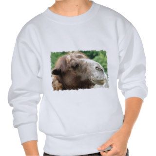 Arabian Camel Youth Sweatshirt