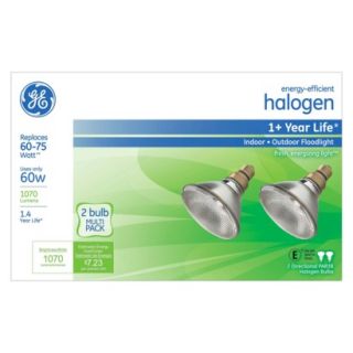 GE Energy Efficient 60 Watt Halogen Indoor/Outdo