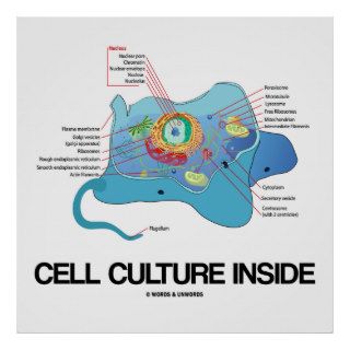 Cell Culture Inside (Eukaryotic Cell) Poster
