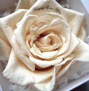 'happily ever after' wedding rose gift by rococo rose