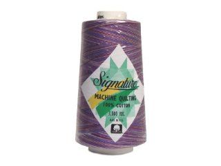 Signature 100% Cotton Quilting Thread 3000yd Variegated Purple Haze