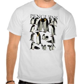 Penguins of the World Shirt