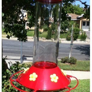 Perky Pet 209B Our Best Glass Hummingbird Feeder with Free Nectar  Wild Bird Feeders  Patio, Lawn & Garden
