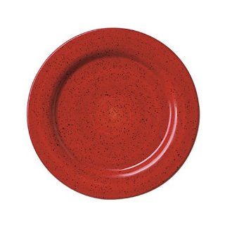 Pfaltzgraff Nuance of Red Dinner Plate Kitchen & Dining