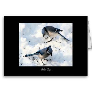 Blue Jays in Snow Greeting Cards