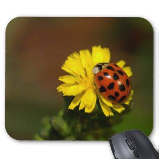 Ladybug Mousepads