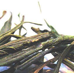 organic green tea 50g by leaf
