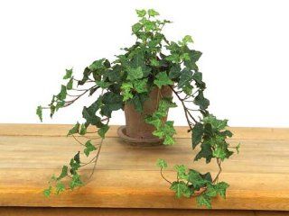 Pack of 6 Ivy & Greens English Ivy in Terracotta Colored Pots 22"   Artificial Plants