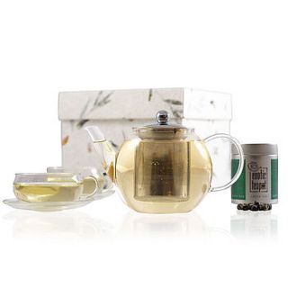 xian loose leaf tea set by the exotic teapot