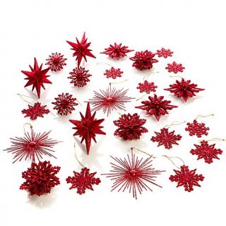Colin Cowie 25 piece Snowflake and Star Ornament Set