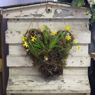 spring   fresh tete a tete willow heart by the artisan dried flower company