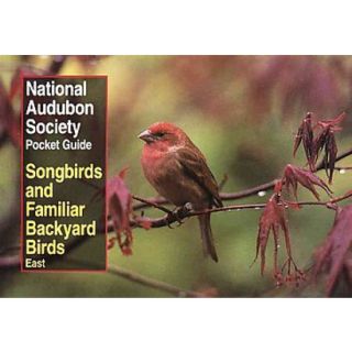 Songbirds and Familiar Backyard Birds/Eastern Re