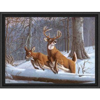 Royal Brush White Tails Paint by Number Toys & Games