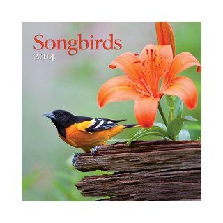 Songbirds 2014 Calendar 9781469401324 Books