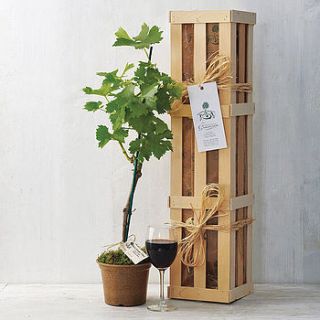 grapevine gift set by the gluttonous gardener