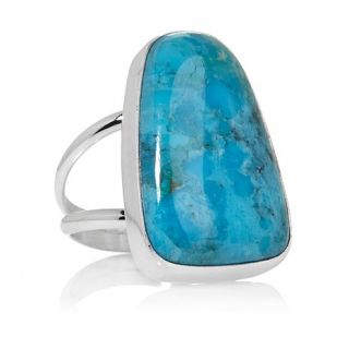 Jay King Freeform Compressed Turquoise Sterling Silver Ring