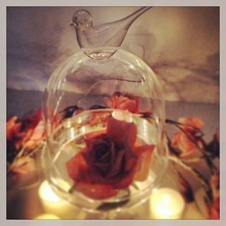 bird glass bell jar by made with love designs ltd