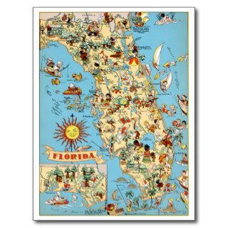 Florida Vintage Funny Postcard