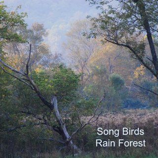 Nature Sounds Song Birds RainForest Soothing Relaxation CD No Music Added Music