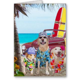 Funny Dogs Hawaiian/Surfer Birthday Cards