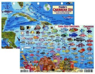 Caribbean Sea Fish Id Card with Island Map 8.5 in by 5.5 in  Diving Communication Devices  Sports & Outdoors