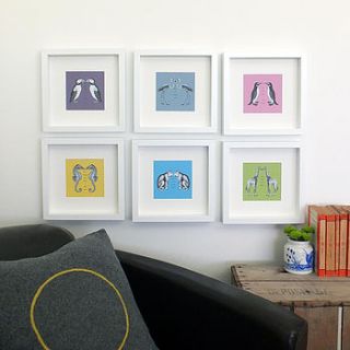 mini art collection; six 'zoology' prints by coulson macleod