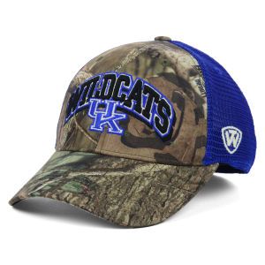 Kentucky Wildcats Top of the World NCAA Trapper Meshback Hat