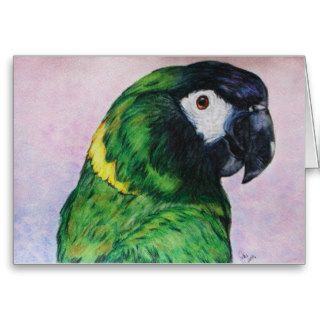 Yellow Collared Macaw Fine Art Card