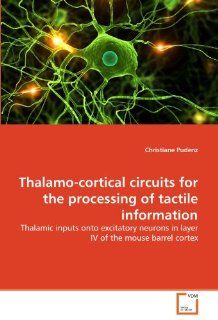 Thalamo cortical circuits for the processing of tactile information Thalamic inputs onto excitatory neurons in layer IV of the mouse barrel cortex (9783639310061) Christiane Pudenz Books