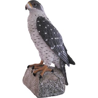 Peregrine Falcon Decoy with Motion-Activated Sound Effects, Model# FP-401  Bird Repellers