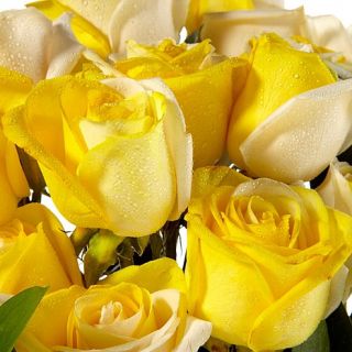 Ultimate Rose 6 Yellow and White Fresh Cut Roses with Vase