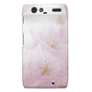 Cherry Blossom Motorola Case Motorola Droid RAZR Case