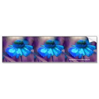 Blue Zinnia Flower Bumper Sticker Car Art