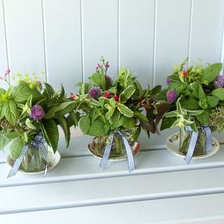 trio of herb posies by the artisan dried flower company